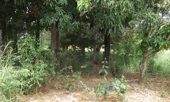 Imagem 6: Chácaras a partir de 800m² as margens do rio Cipó, Serra do Cipó