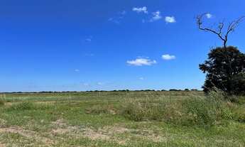 Imagem 7: Vendo Fazenda de 10.500 hectares, Município do Piauí !!!