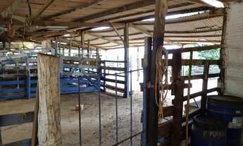 Imagem 3: Sítio para Venda em Promissão / SP no bairro Rural