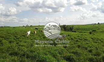 Imagem 6: Venda - Fazenda - Machadinho D'Oeste - 383 Alqueires