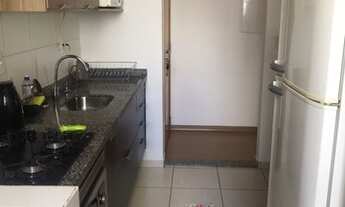 Imagem 5: FIT TERRA BONITA