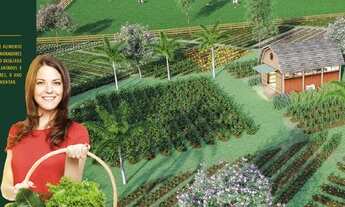 Imagem 5: Fazenda/Sítio/Chácara para venda possui 1010 metros quadrados em Mangarai - Santa Leopoldi