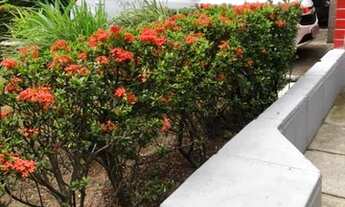 Imagem 2: Apê - 100 metros do Shopping Recife