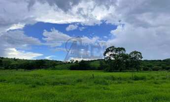 Imagem 4: Fazenda com 56 hectares na beira do rio verde