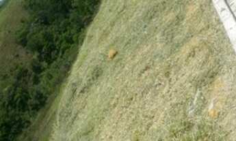 Imagem 5: SÃO JOSÉ DOS CAMPOS - Loteamento/Condomínio - CONDOMÍNIO RESIDENCIAL MANTIQUEIRA