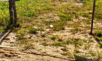 Imagem 7: Área em Imbituba, localizada no bairro Araçatuba de frente para Rodovia