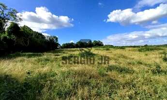 Imagem 5: Área de terra com 7.000m² em Triunfo - Aceito veículo