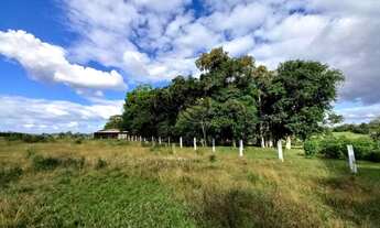 Imagem 3: Área de terra com 7.000m² em Triunfo - Aceito veículo