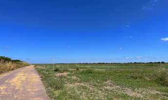 Imagem 2: Vendo Fazenda de 10.500 hectares, Município do Piauí !!!