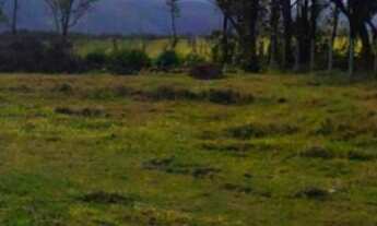Imagem 5: Área em Imbituba, localizada no bairro Araçatuba de frente para Rodovia