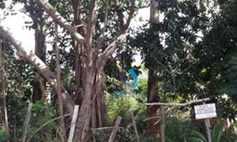 Imagem 5: Sobrado à venda, 120 m² por R$ 380.000,00 - Vila do Castelo - São Paulo/SP