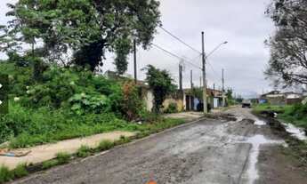 Imagem 3: Lote inteiro com escirutr a em Mongaguá