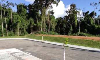 Imagem 6: Lote 13 Loteamento Alfablu 65 - Timbó