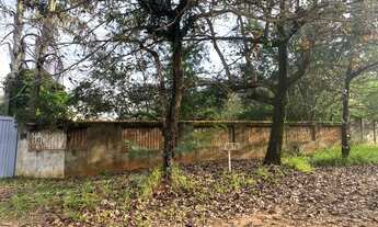 Imagem 3: Domínio sobre terreno 5.005m², c/ casa, edicula, galpões e estufas, Bauru/SP