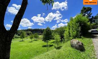 Imagem 7: Curitiba - Terreno Padrão - Pilarzinho