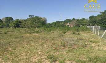 Imagem 6: Sítio 10.000m2 c/casa simples e galpão