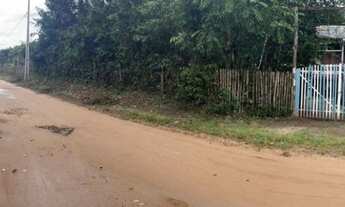 Imagem 2: Sítio em Curuçá com Igarapé