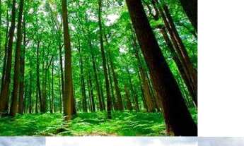 Imagem 2: Casa com 3 dormitóios à venda, 178 m² por R$ 1.600.000 - Park Gran Reserve - Indaiatuba/SP