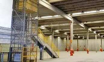 Imagem 5: Galpão / Depósito / Armazém para locação em Aliança - Osasco, SP