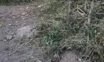 Imagem 6: Vendo lote Terreno / lote com venda por R$65.000