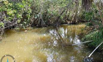 Imagem 7: FAZENDA À VENDA EM LIZARDA - TO - 2.000 HECTARES (DUPLA APTIDÃO