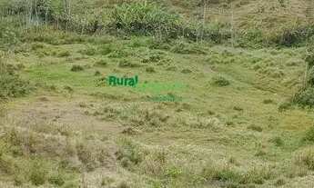 Imagem 5: CHÁCARA DE 5.000 MTS Á VENDA EM PIQUETE-SP