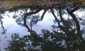 Imagem 6: TERRENO RURAL MUITO BONITO