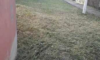 Imagem 3: Terreno escriturado com sobrado