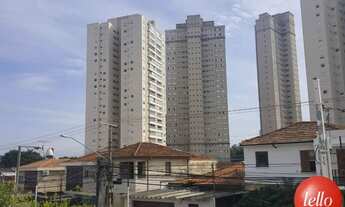 Imagem 5: São Paulo - Casa Padrão - Tatuapé