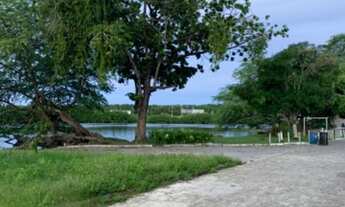 Imagem 4: Casa para aluguel