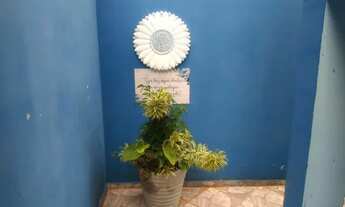 Imagem 3: Casa para aluguel com 260 metros quadrados com 3 quartos em Vila Santa Maria - Americana