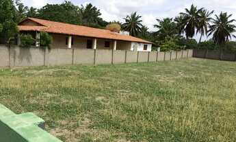 Imagem 4: Terreno em Muriú