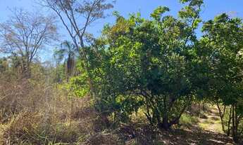 Imagem 4: Chácaras de dois hectares com Rio vermelho!