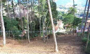 Imagem: Terreno Braunes