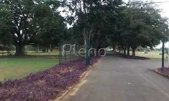 Imagem 2: Venda Terreno / lote com venda por R$470.000