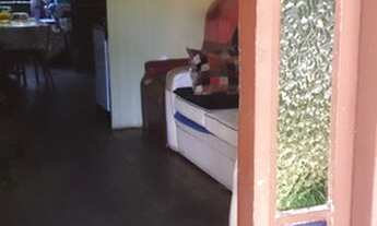 Imagem 3: Vende-se casa Casa com 2 dormitórios