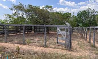 Imagem: FAZENDA À VENDA EM LIZARDA - TO - 2.000