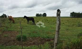 Imagem 2: Ótima área de terras em Lajeado Grande São Francisco de Paula