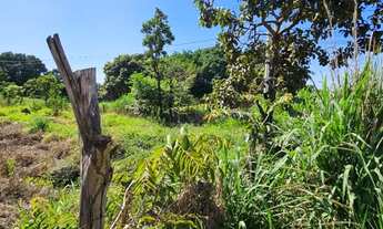 Imagem 5: Terreno / Lote / 467m² - Jardim Eldorado - Aparecida de Goiânia