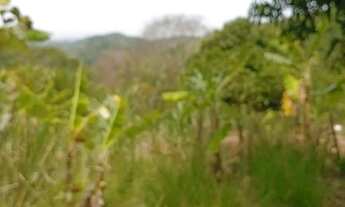 Imagem 6: Sítio porteira fechada