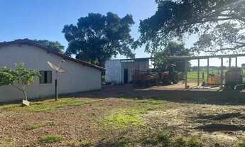 Imagem 2: Fazenda a venda em Crixas / Goiás