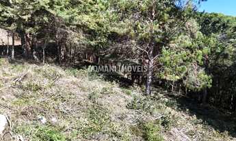 Imagem: Lote de Terreno em Associação Consolidada