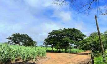 Imagem 4: Área à venda, 350900 m² por R$ 15.500.000,00 - Rodovia - Cedral/SP