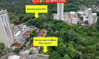 Imagem 2: Terreno Grande no Dom Pedro