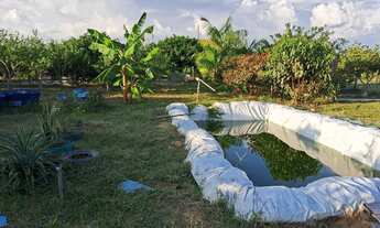 Imagem 5: Sítio a 56km de Boa Vista