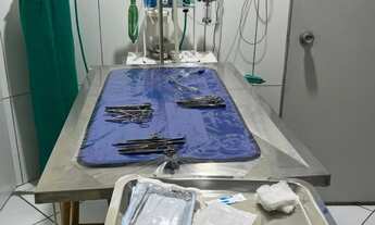 Imagem 4: Petshop e Clínica Veterinária