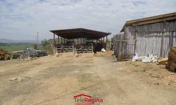 Imagem: GALPÃO PARA ALUGAR EM CAÇAPAVA