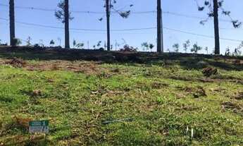 Imagem 3: Terreno à venda, 125 m² por R$ 200.000,00 - Terra Nobre Granja Viana - Cotia/SP