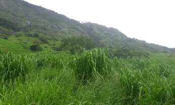 Imagem 6: Venda-se está propriedade de 43,5 no Município de Itaperuna/RJ