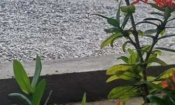 Imagem 2: CASA COM PISCINA PRAIA PONTA NEGRA - LOCAÇÕES TEMPORÁRIAS